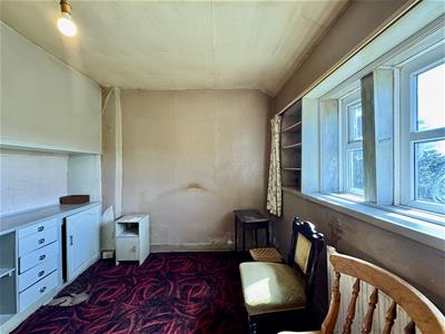 Picture 13